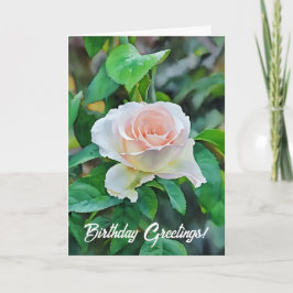 Baby Pink Rose Flower Garden Art Geburtstag Karte