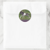 Baby Pinto Mini Horse Stickers (Tasche)