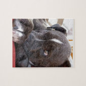 Baby Pitbull Welpen Puzzle (Horizontal)