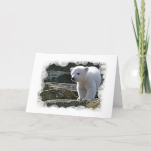 Baby Polar Bear Grußkarte Karte