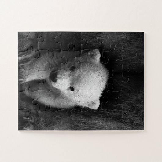 Baby Polar Bear mit Mutter, Schwarz und Weiß Puzzle (Horizontal)