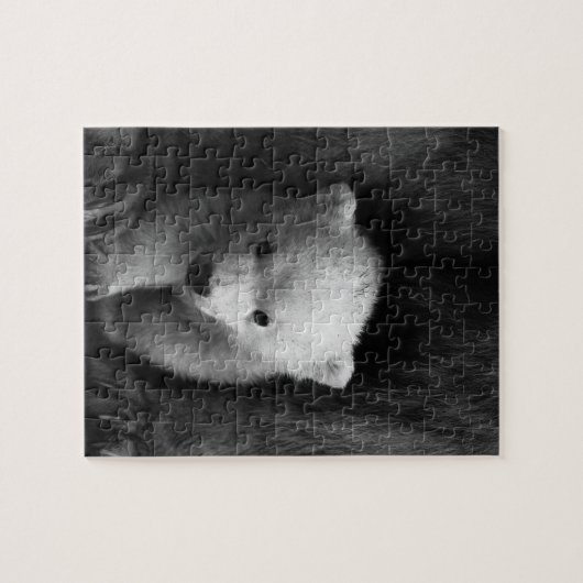 Baby Polar Bear mit Mutter, Schwarz und Weiß Puzzle (Horizontal)