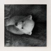 Baby Polar Bear mit Mutter, Schwarz und Weiß Puzzle (Horizontal)