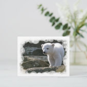 Baby Polar Bear Postcard Postkarte (Stehend Vorderseite)
