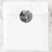 Baby Polar Bear STicker (Tasche)