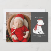 Baby Polar Bear Weihnachtskarte Foto Feiertagskarte (Vorderseite)
