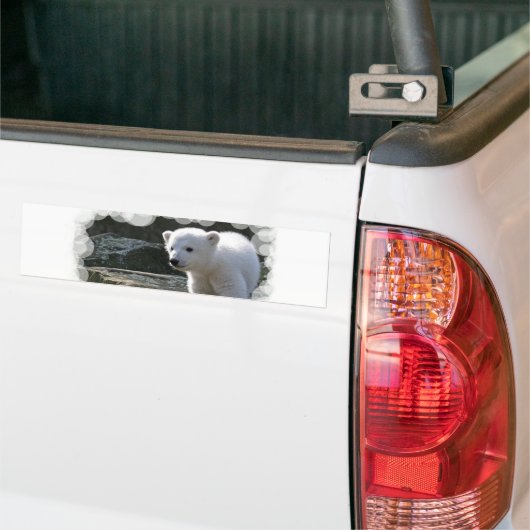 Baby-polarer Bärn-Autoaufkleber Autoaufkleber (Auf Lkw)