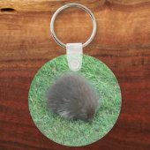 Baby Porcupine Schlüsselanhänger (Vorderseite)