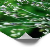 Baby Possum Kaution Picking Blume Poster (Ecke)