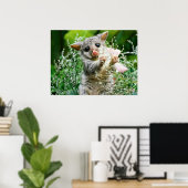 Baby Possum Kaution Picking Blume Poster (Heimbüro)