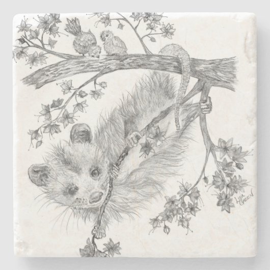 Baby Possum Stone Untersetzer (Vorderseite)