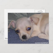 Baby Postcard. Postkarte (Vorne/Hinten)