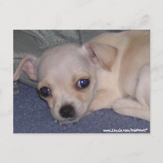 Baby Postcard. Postkarte (Vorderseite)