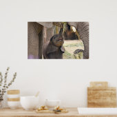 Baby Poster (Küche)