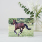 Baby Postkarte (Stehend Vorderseite)