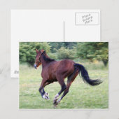 Baby Postkarte (Vorne/Hinten)