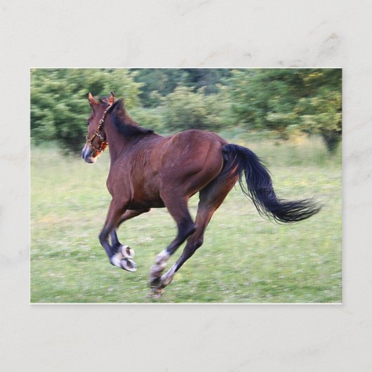 Baby Postkarte (Vorderseite)