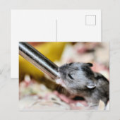 Baby Postkarte (Vorne/Hinten)
