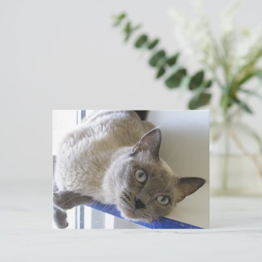 Baby Postkarte (Stehend Vorderseite)