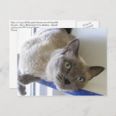 Baby Postkarte (Vorne/Hinten)