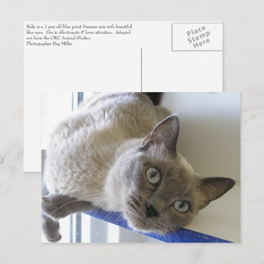 Baby Postkarte (Vorne/Hinten)