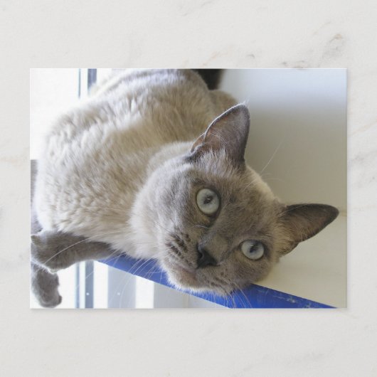 Baby Postkarte (Vorderseite)