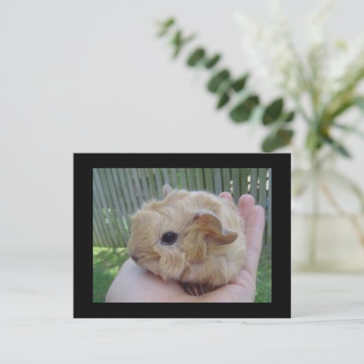 baby postkarte (Stehend Vorderseite)