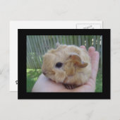 baby postkarte (Vorne/Hinten)