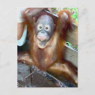 Baby Potty-Unfall Postkarte