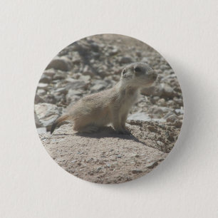Baby-Präriehund Button