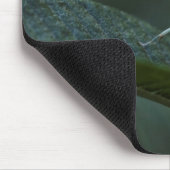 Baby Praying Mantis Mousepad (Ecke)