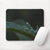 Baby Praying Mantis Mousepad (Mit Mouse)