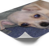 Baby Print. Poster (Ecke)