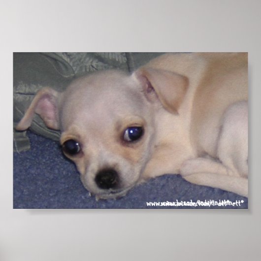 Baby Print. Poster (Vorne)