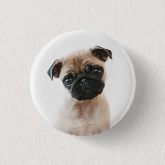Baby Pug Portrait Button (Vorderseite)