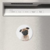 Baby Pug Portrait Magnet (In Situ (Geschirrspüler))
