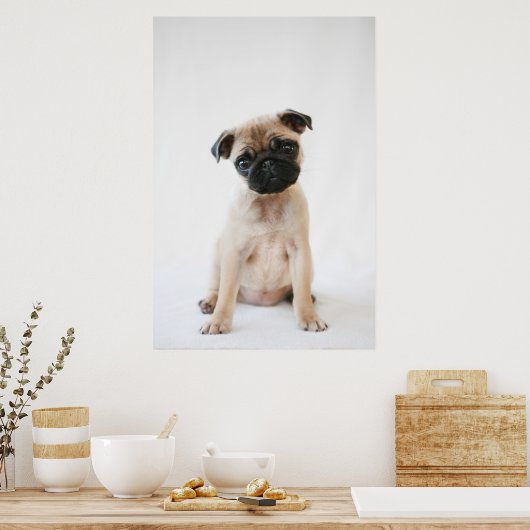 Baby Pug Portrait Poster (Küche)
