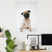Baby Pug Portrait Poster (Heimbüro)