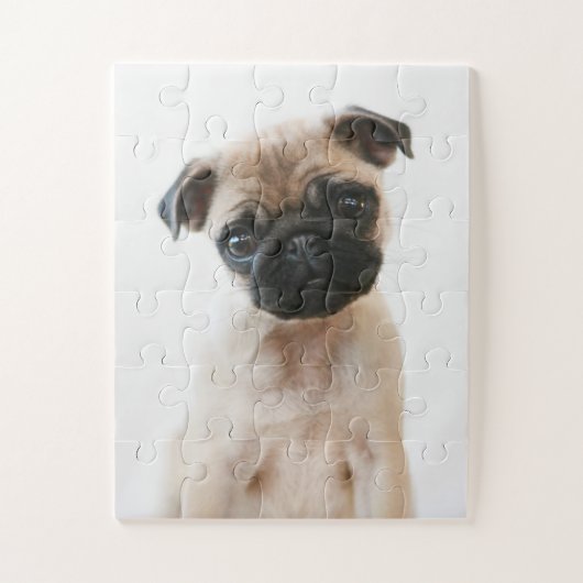 Baby Pug Portrait Puzzle (Vertikal)