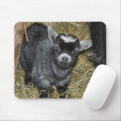 Baby-Pygmäe-Ziege Mousepad (Mit Mouse)