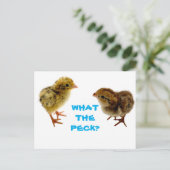 Baby Quail Chick Postcard Postkarte (Stehend Vorderseite)