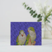 Baby Quaker Parrot Pair Animal Postcard Postkarte (Stehend Vorderseite)