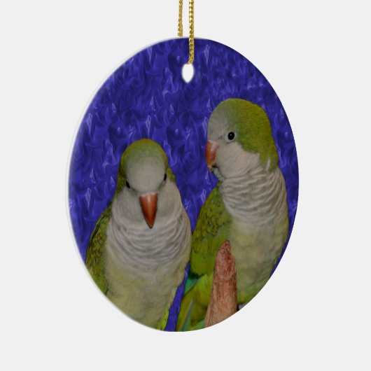 Baby Quaker Parrot Pair Bird Ornament (Rechts)