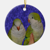 Baby Quaker Parrot Pair Bird Ornament (Vorne)