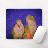 Baby Quaker Parrots Animal Mousepad (Mit Mouse)