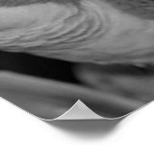 Baby Quaker parrots teilweise Farbe Poster (Ecke)