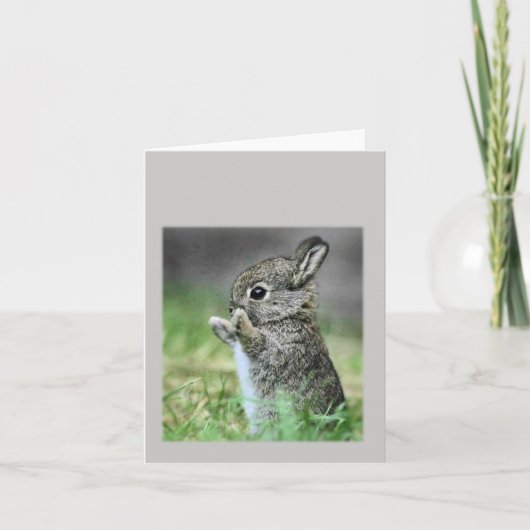 Baby Rabbit Karte (Vorderseite)