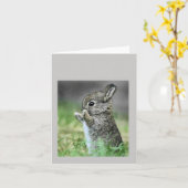 Baby Rabbit Karte (Gelbe Blume)