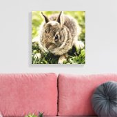 Baby Rabbit Leinwanddruck (Insitu (Wohnzimmer))
