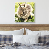 Baby Rabbit Leinwanddruck (Insitu (Schlafzimmer))